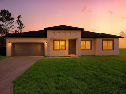 New construction Single-Family house 6243 Sw 133Rd Street Rd, Ocala, FL 34473 - image