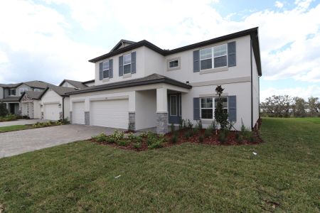 New construction Single-Family house 9543 Crescent Ray Drive, Wesley Chapel, FL 33545 Alenza- photo 0