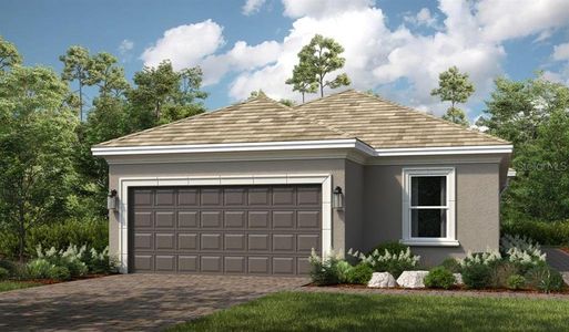New construction Single-Family house 3895 Cavour Ct, Wesley Chapel, FL 33543 plan Arezzo - image