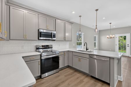 New construction Single-Family house 245 James Dr, Richmond Hill, GA 31324 plan Oscar Mulberry - image 6
