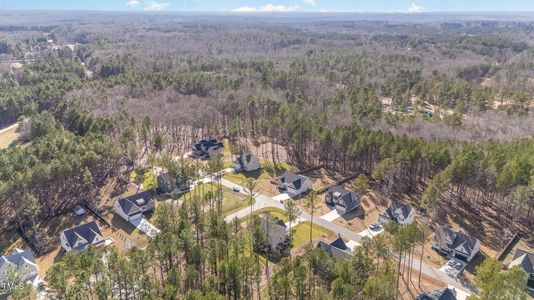 New construction Single-Family house 110 Lilac Dr, Franklinton, NC 27525 null- photo 25 25