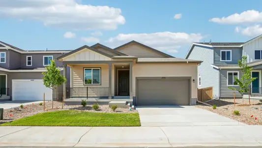 New construction Single-Family house 1454 Boyle St, Windsor, CO 80550 plan Charleston - image