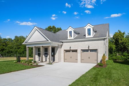 New construction Single-Family house 3538 Winterfell Dr, Murfreesboro, TN 37129 plan Alamont - image