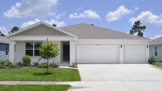 New construction Single-Family house 10972 Gentle Current Wy, Parrish, FL 34219 plan Covington - image