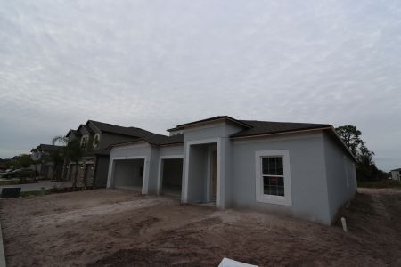 New construction Single-Family house 5050 Bromeliad Ave, Wimauma, FL 33598 Barcello Bonus- photo 77 77