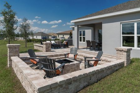 Park View at the Hills by Landsea Homes in Minneola - photo 48 48