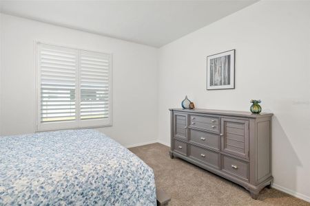 New construction Single-Family house 13142 Cedar Elm Ln, Parrish, FL 34219 - image 10