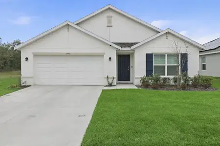 New construction Single-Family house 11446 Se 72Nd Ave, Belleview, FL 34420 plan Cali - image
