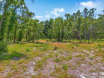 New construction Single-Family house 0 Castlewood Rd, Unit LOT 3, Seffner, FL 33584 null- photo 5 5