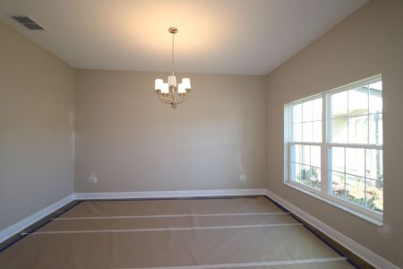 New construction Single-Family house 20125 Oriana Loop, Land O' Lakes, FL 34638 Santina II- photo 163 163