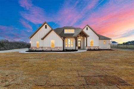 New construction Single-Family house 390 Red Bird Dr, Springtown, TX 76082 null- photo 0