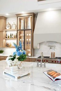 New construction Single-Family house 2320 Sorrelwood Ct, Celina, TX 75009 plan Amalfi - image 9