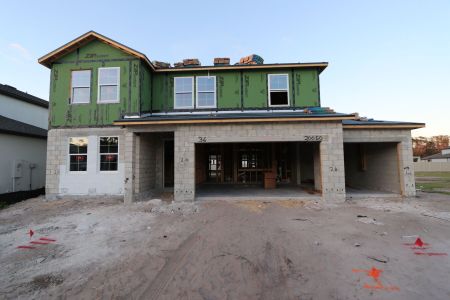 New construction Single-Family house 20050 Oriana Loop, Land O' Lakes, FL 34638 Santa Monica- photo 35 35