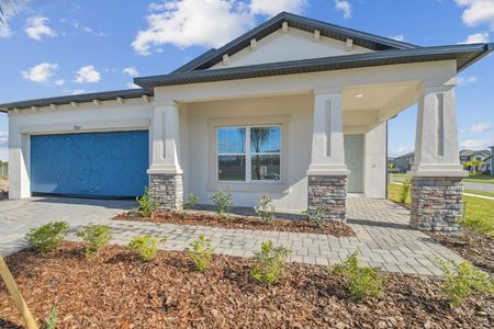 New construction Single-Family house 3064 Fall Harvest Dr, Zephyrhills, FL 33540 Picasso- photo 182 182