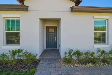 New construction Single-Family house 16710 Shell Bay Dr, Land O' Lakes, FL 34638 - image