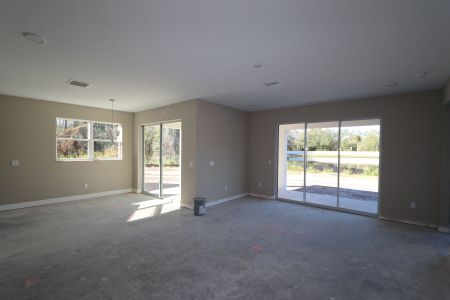 New construction Single-Family house 20131 Oriana Loop, Land O' Lakes, FL 34638 Sonoma II- photo 107 107