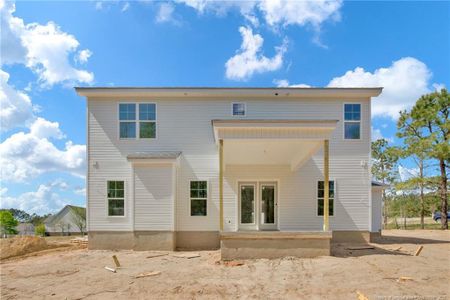 New construction Single-Family house 99 Jaylin Oaks Dr, Spring Lake, NC 28390 - image