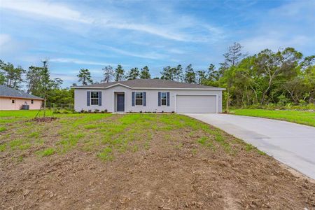 New construction Single-Family house 3210 Sw 177Th Place Rd, Ocala, FL 34473 null- photo 0