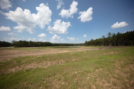 Expansive open land with grassy fields and a backdrop of trees, under a clear blue sky with scattered clouds. Ideal for those seeking tranquility and space.