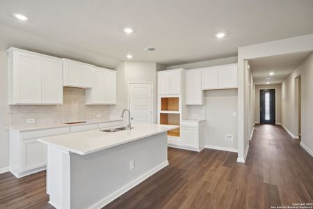 New construction Single-Family house 11343 Acorn Blf, San Antonio, TX 78254 The Fitzhugh (C402)- photo 5 5