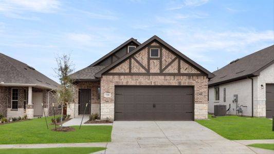 New construction Single-Family house 709 Rustic Ridge Dr, Lavon, TX 75166 null- photo 6 6