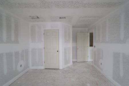 New construction Single-Family house 31222 Hayman Loop, Wesley Chapel, FL 33545 Windsor- photo 66 66