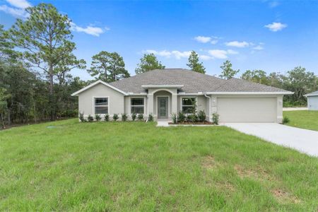 New construction Single-Family house 11359 Flower Avenue, Weeki Wachee, FL 34613 - photo 0