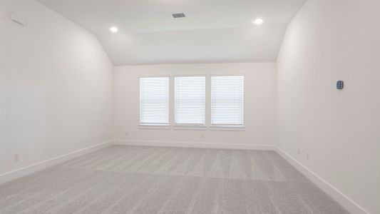 New construction Single-Family house 907 Egret Ln, Forney, TX 75126 Riverstone 3FSW (w/Media)- photo 15 15