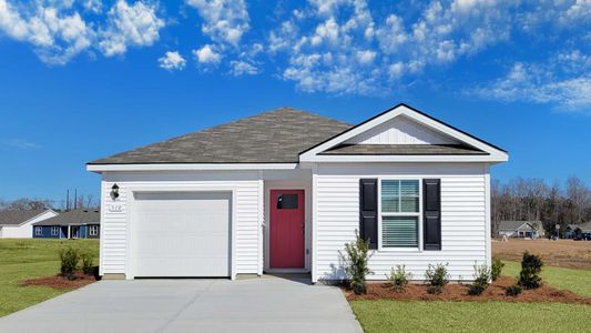 New construction Single-Family house 310 Black Gum Dr, Conway, SC 29527 plan Cameron - image