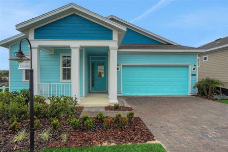 New construction Single-Family house 1001 Fiesta Key Cir, Lady Lake, FL 32159 plan Lexington - image