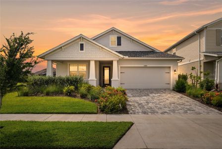 New construction Single-Family house 15880 Elina Sky Dr, Punta Gorda, FL 33982 - image