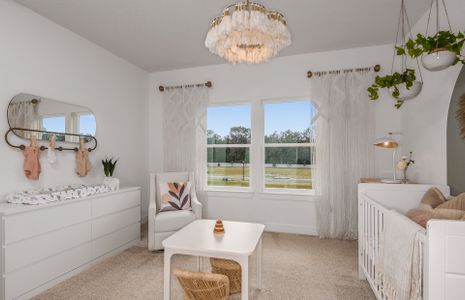 New construction Single-Family house 33247 Legacy Lands Ln, Zephyrhills, FL 33545 null- photo 16 16