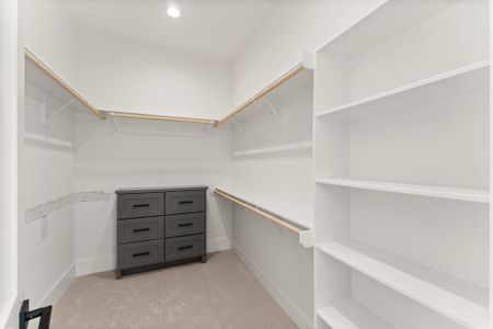 New construction Single-Family house 161 Homestead Hill Rd, New Waverly, TX 77358 - image 7