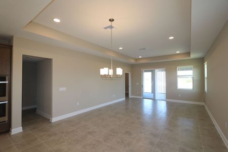 New construction Single-Family house 38357 Palomino Dr, Dade City, FL 33525 Picasso Bonus- photo 56 56