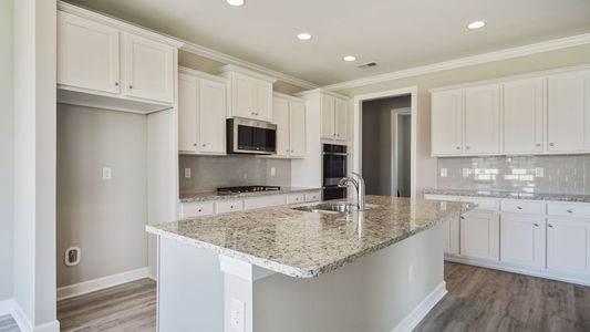 New construction Single-Family house 117 Reedgrass Dr, Little River, SC 29566 plan The Oceanside - image 9