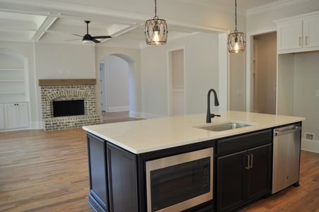 New construction Single-Family house 101 Mills Ln, Ball Ground, GA 30107 plan Dillard B - image 10