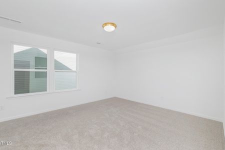 New construction Single-Family house 641 Bent Willow Dr, Unit 128, Clayton, NC 27527 plan Cyprus - image 17