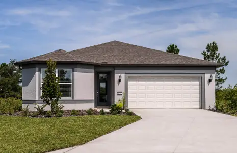 New construction Single-Family house 3952 Big Sky Dr, Spring Hill, FL 34604 Cresswind- photo 0