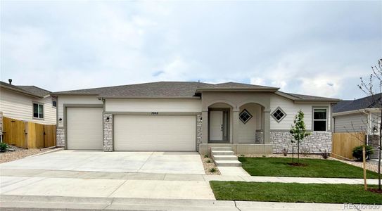 New construction Single-Family house 7242 Xenophon Ct, Arvada, CO 80005 - image