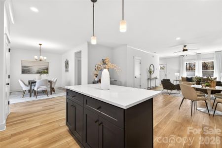 New construction Single-Family house 4207 Eagle Chase Dr, Charlotte, NC 28216 - image 13