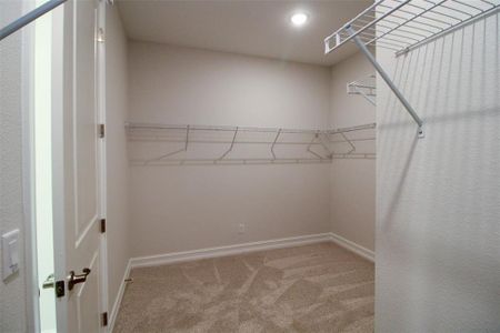 New construction Single-Family house 159 N Kinglet Ave, Hernando, FL 34442 - image 18