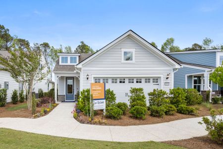 New construction Single-Family house 98 Bull Run Rd, Richmond Hill, GA 31324 plan Hallmark - image