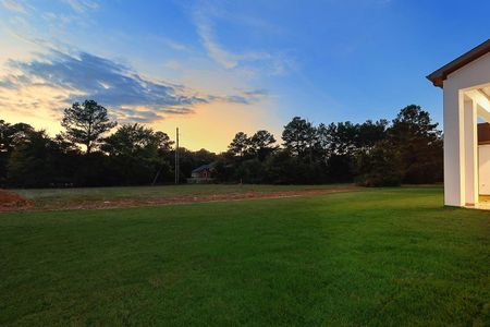 New construction Single-Family house 24975 Hopeview Wy, Montgomery, TX 77356 - image 16