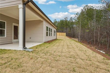 New construction Single-Family house 333 Ivey Township Dr, Dallas, GA 30132 null- photo 51 51