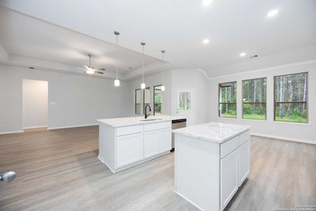 New construction Single-Family house 21149 Jordans Ranch Wy, San Antonio, TX 78264 Arlington- photo 12 12