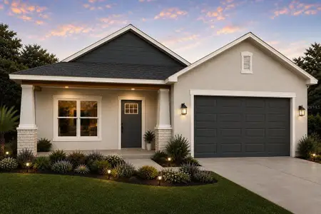 New construction Single-Family house 34281 Manuel St, Webster, FL 33597 - image