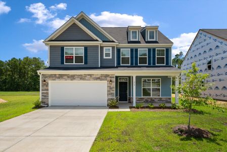 New construction Single-Family house 218 Palfrey Dr, Ridgeville, SC 29472 plan Davidson - image
