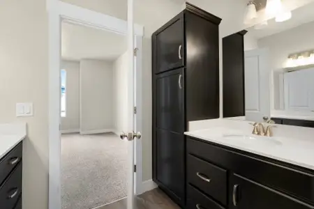 New construction Single-Family house 6793 Maple Leaf Dr, Unit 201, Timnath, CO 80547 plan Monarch - image 9