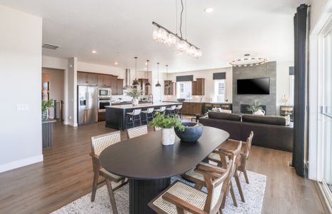 New construction Single-Family house 8403 S Winnipeg Ct, Aurora, CO 80016 plan Ferrara - image 15