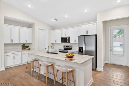 New construction Single-Family house 303 Se 1St Pl, Cape Coral, FL 33990 plan The Paradise Cove - image 5